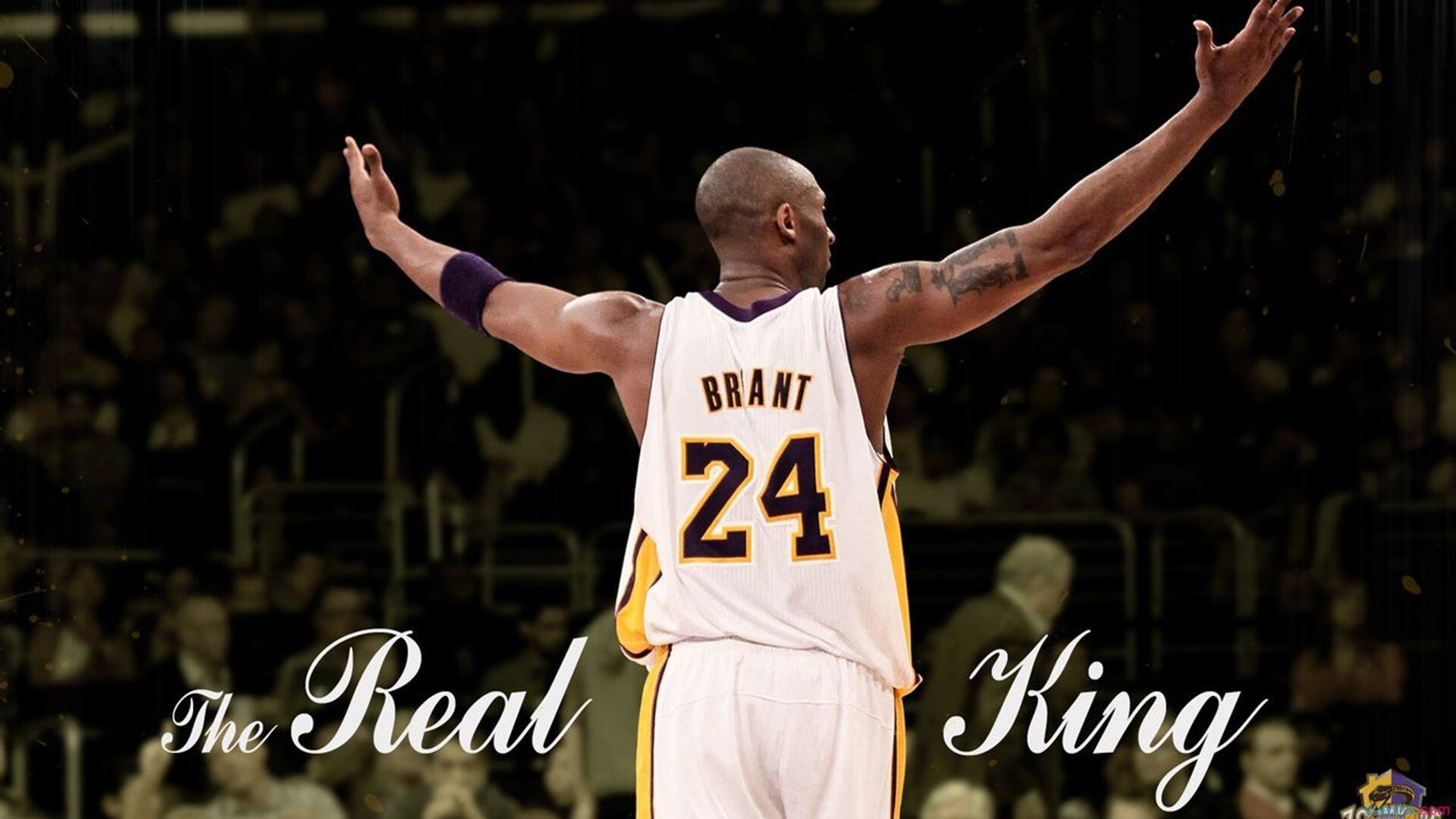 乐鱼体育下载入口-CBA赛场见证中国篮球成长，cba成功